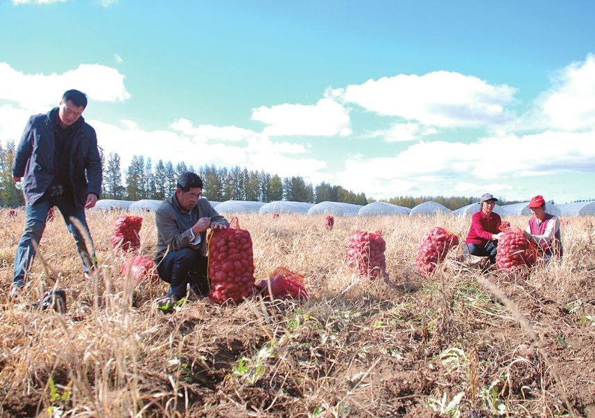 大同左云：特色产业富农家科技赋能稳增收(图2)