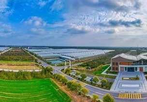 五福村的“新五福”