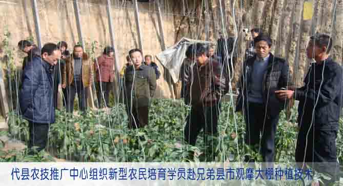 代县农技推广中心组织新型农民培育学员赴兄弟县市观摩大棚种植技术
