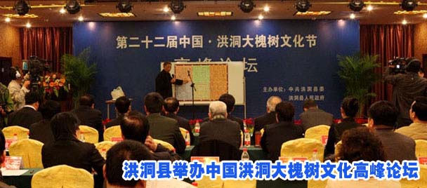 洪洞县举办中国洪洞大槐树文化高峰论坛