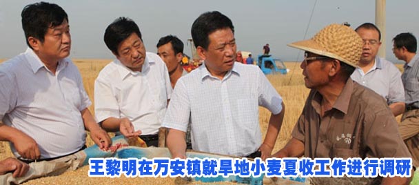 王黎明在万安镇就旱地小麦夏收工作进行调研