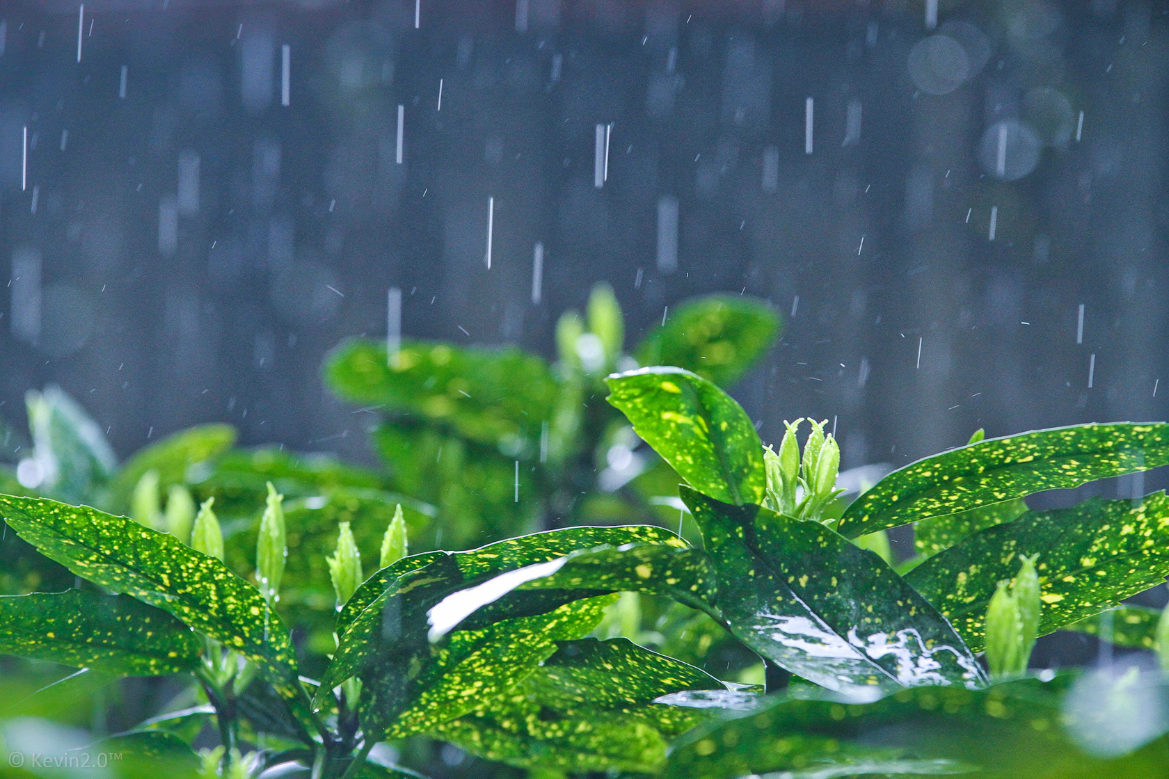 又是雨雨雨 本周山西大部分地区多阵雨天气