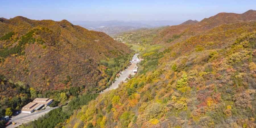 秋染翠枫山