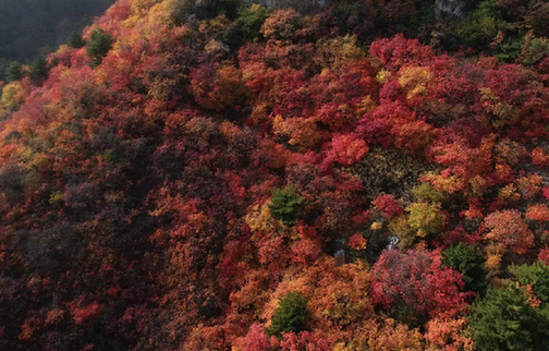 太行山深处的天然溶洞