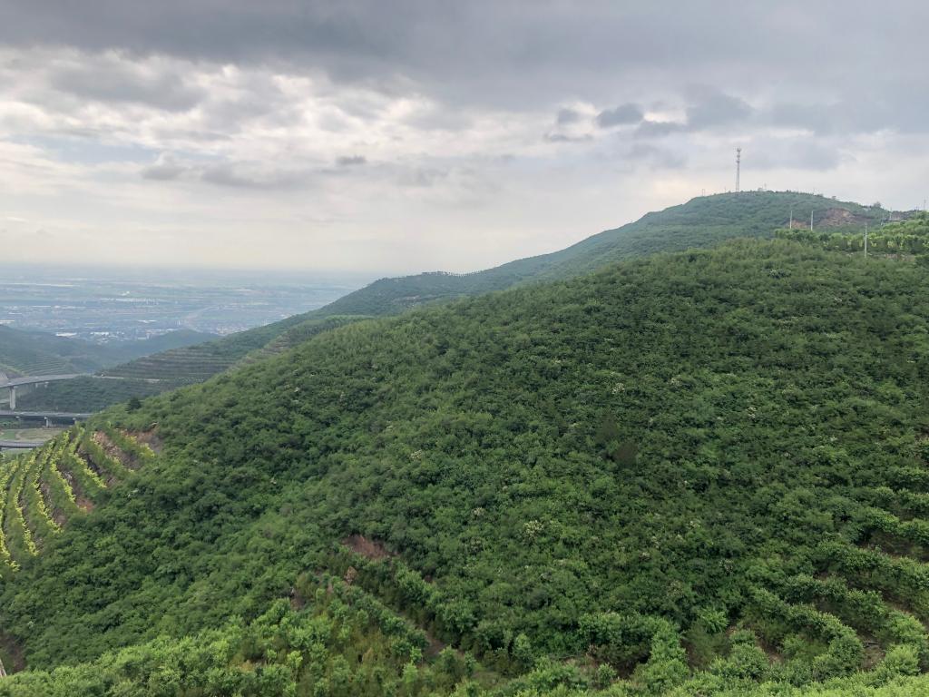 【“飞阅”中国】夏日天龙山，草木葱茏处