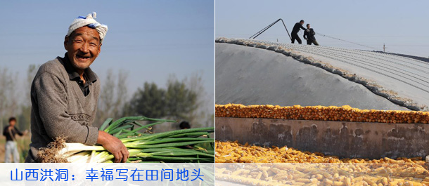 山西洪洞：幸福写在田间地头
