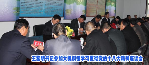 王黎明书记参加大槐树镇学习贯彻党的十八大精神座谈会